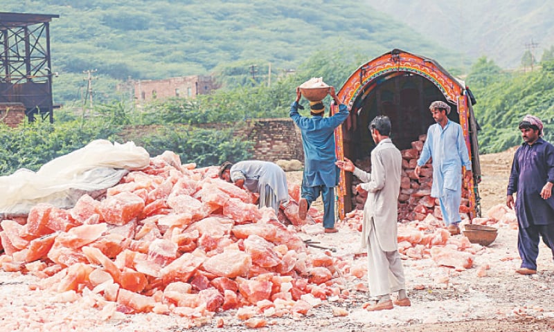 Pakistan's progress on Geographical Indications